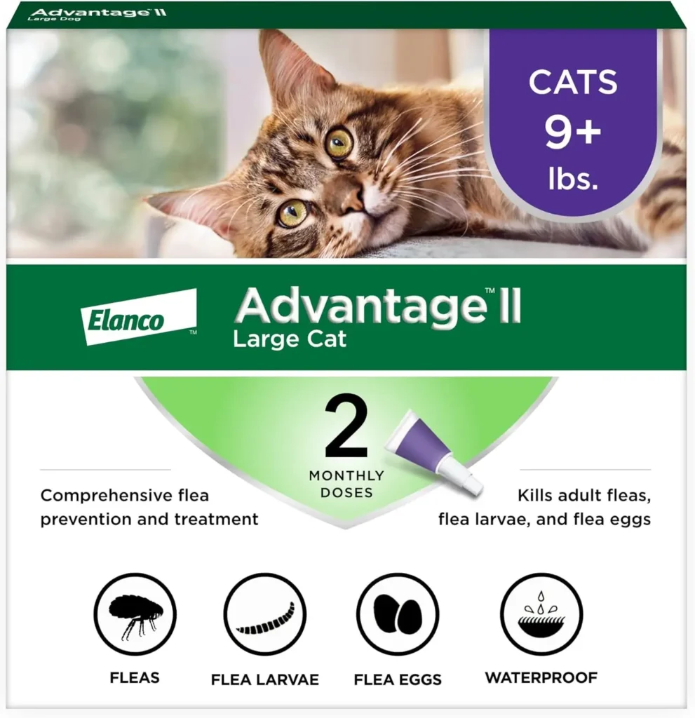 Flea Medicine For Cat