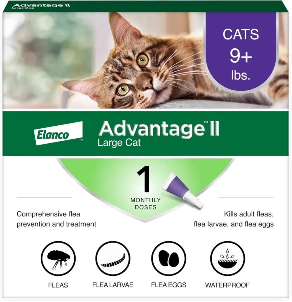 Flea Medicine For Cat