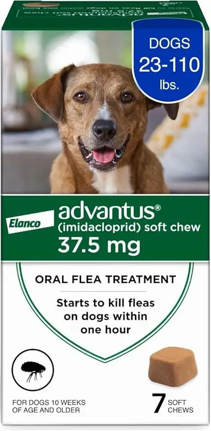 Flea Treatment for Dogs