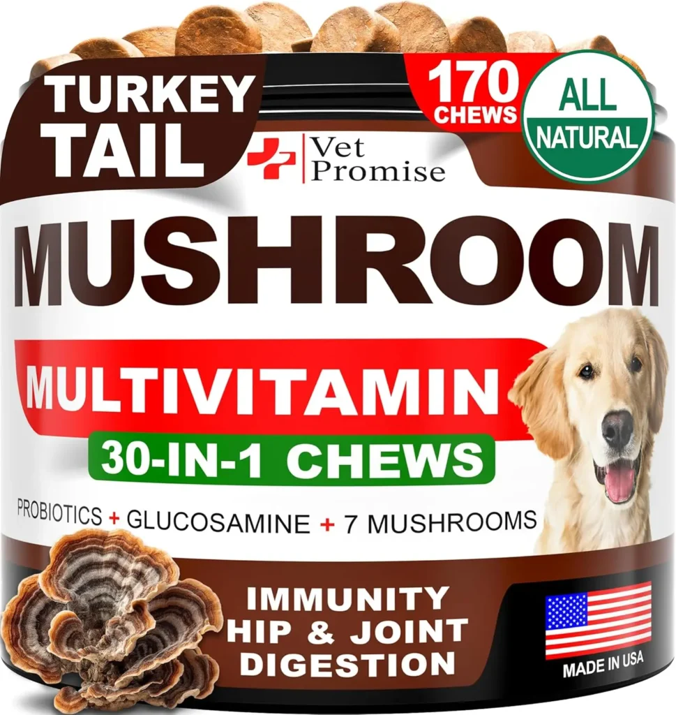 Mushroom Supplement For Dogs