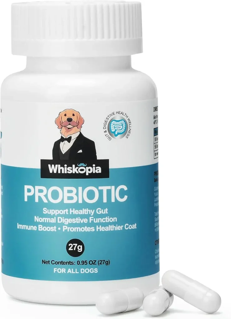 Probiotics for Dogs