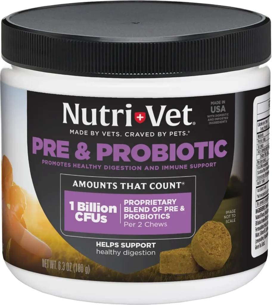 Probiotics for Dogs