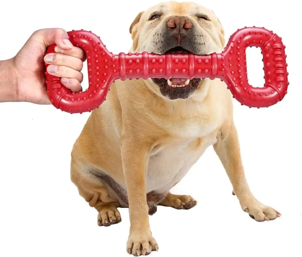 Toys for Big Dog