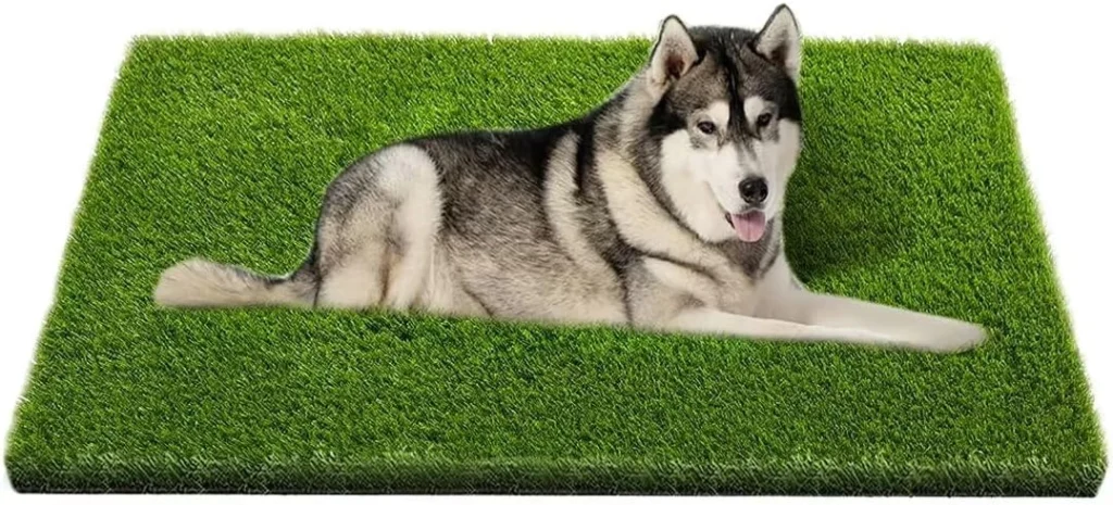 Artificial Grass Pad for Dog