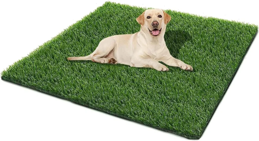 Artificial Grass Pad for Dog