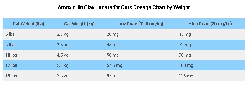 Augmentin for Cats Dosage Chart by Weight