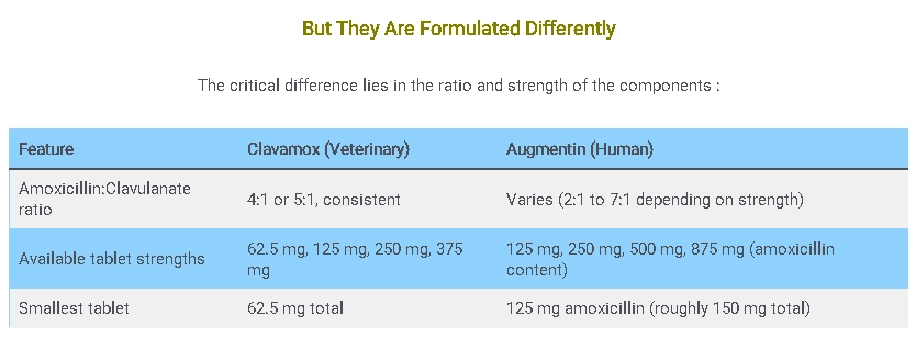 Clavamox Dosage For Cats