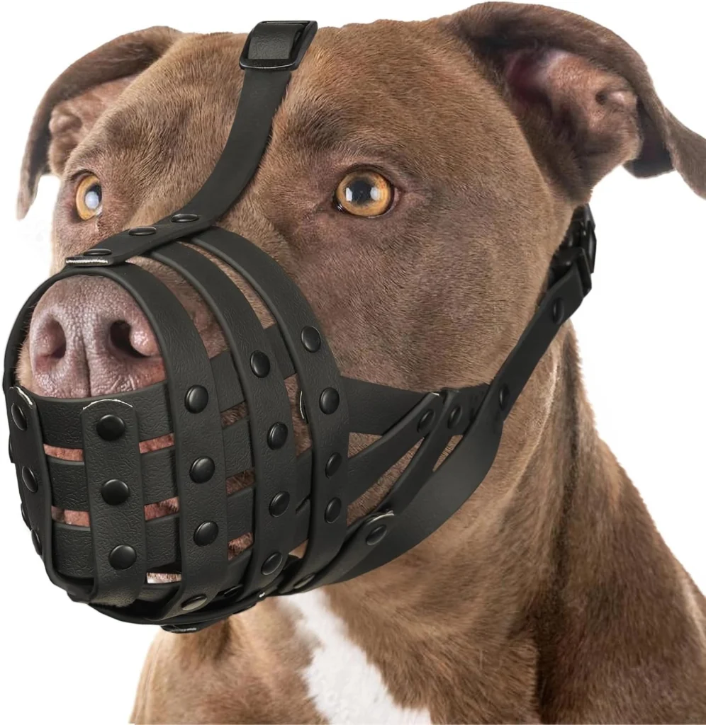 Dog Muzzles