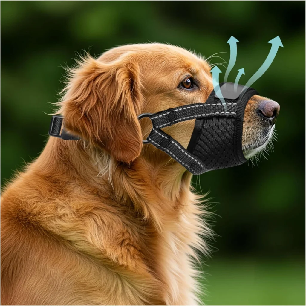 Best Dog Muzzles