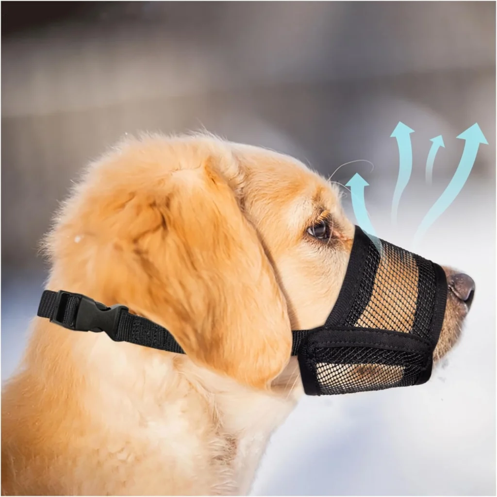 Best Dog Muzzles