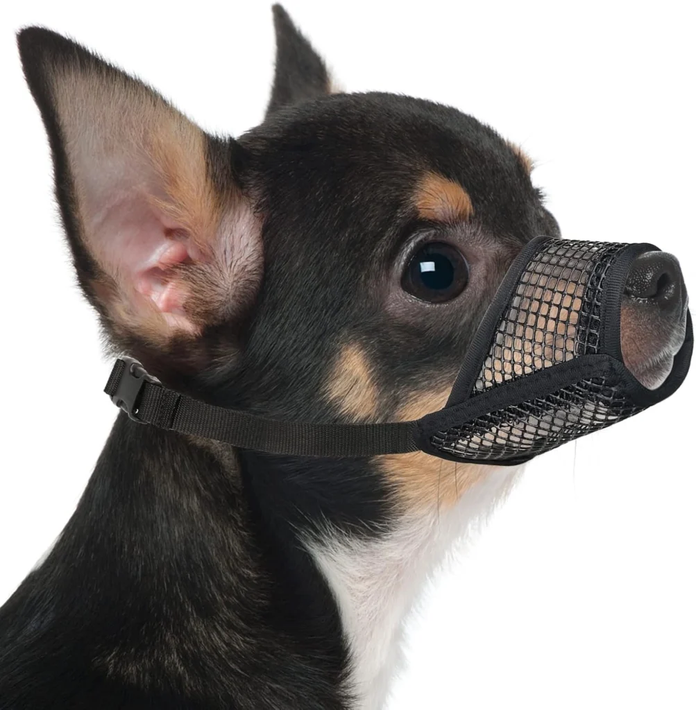 Best Dog Muzzles