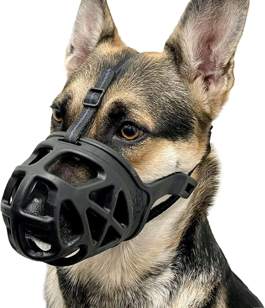 Best Dog Muzzles