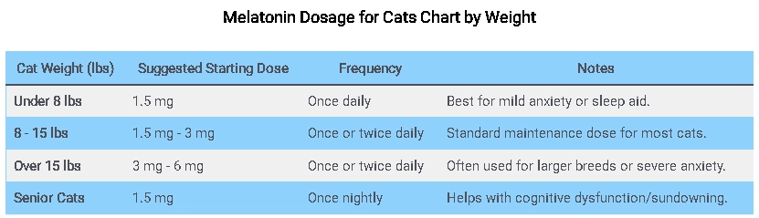 What Is the Recommended Melatonin Dosage for Cats
