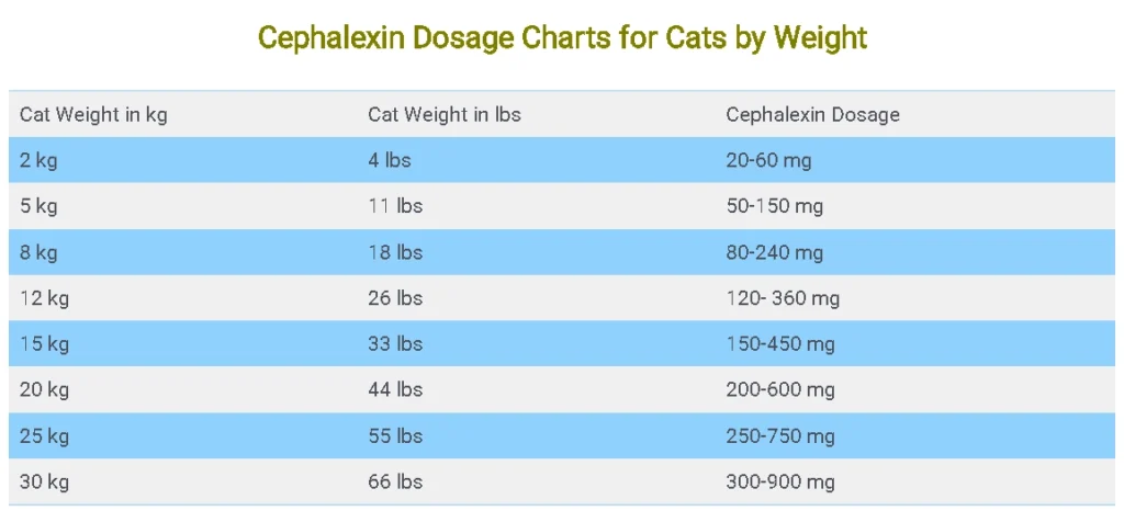 Cephalexin Dosage Charts for Cats by Weight