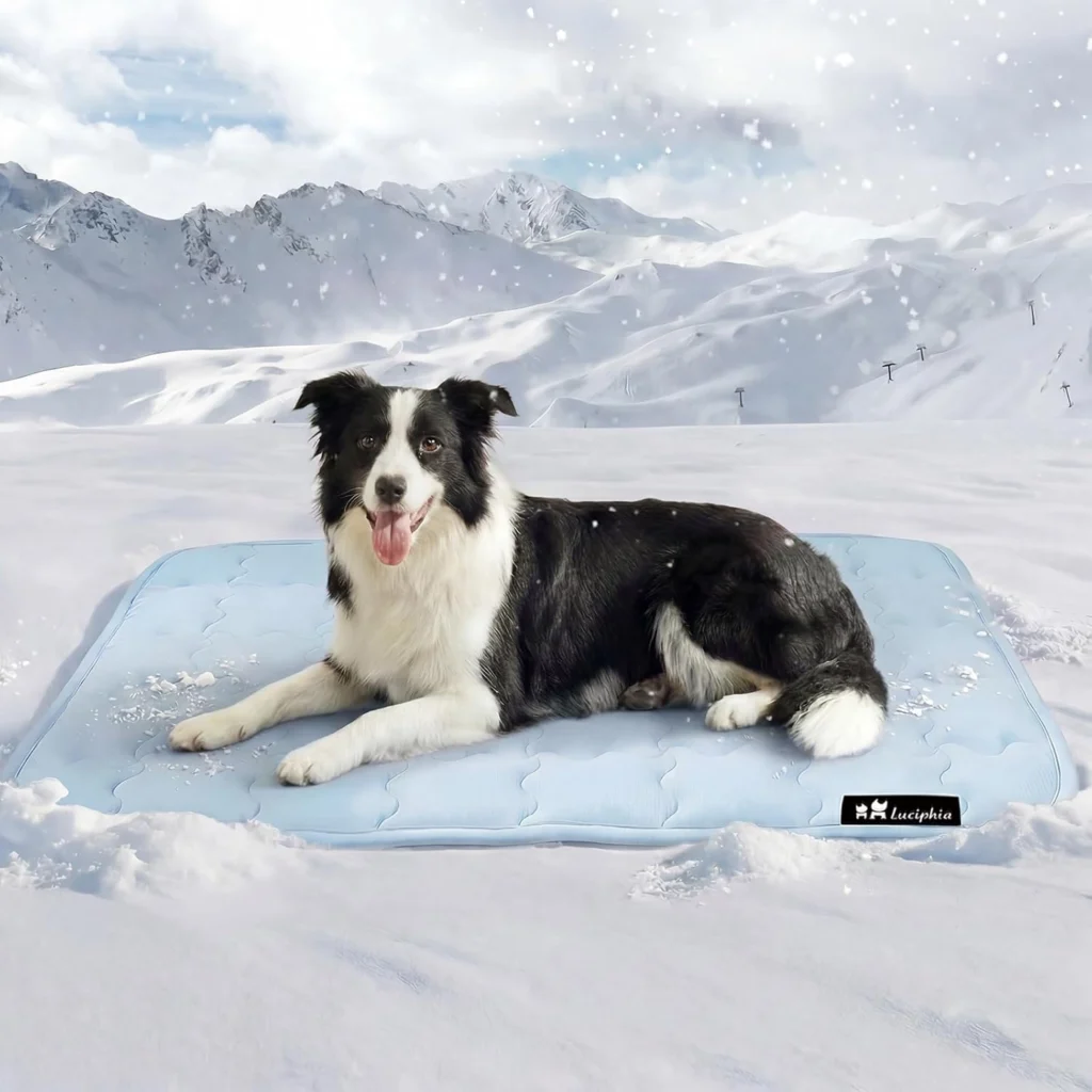 Cooling Mats for Dog