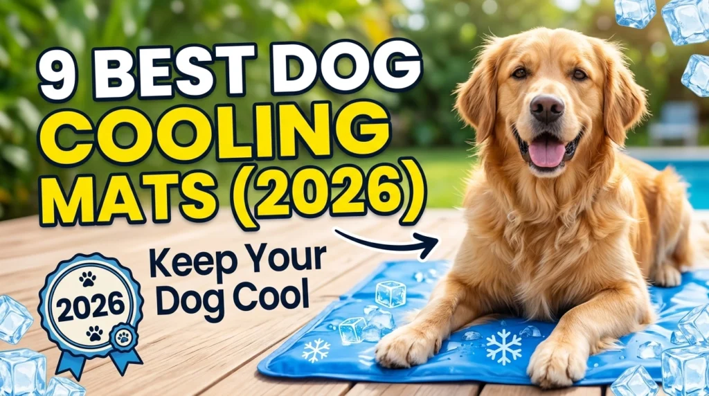 Dog Cooling Mats