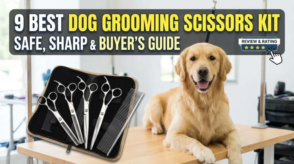 Dog Grooming Scissors Kit