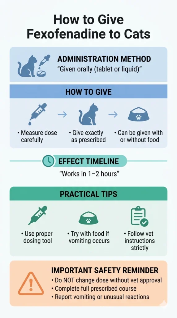 How to Give Fexofenadine to Cats