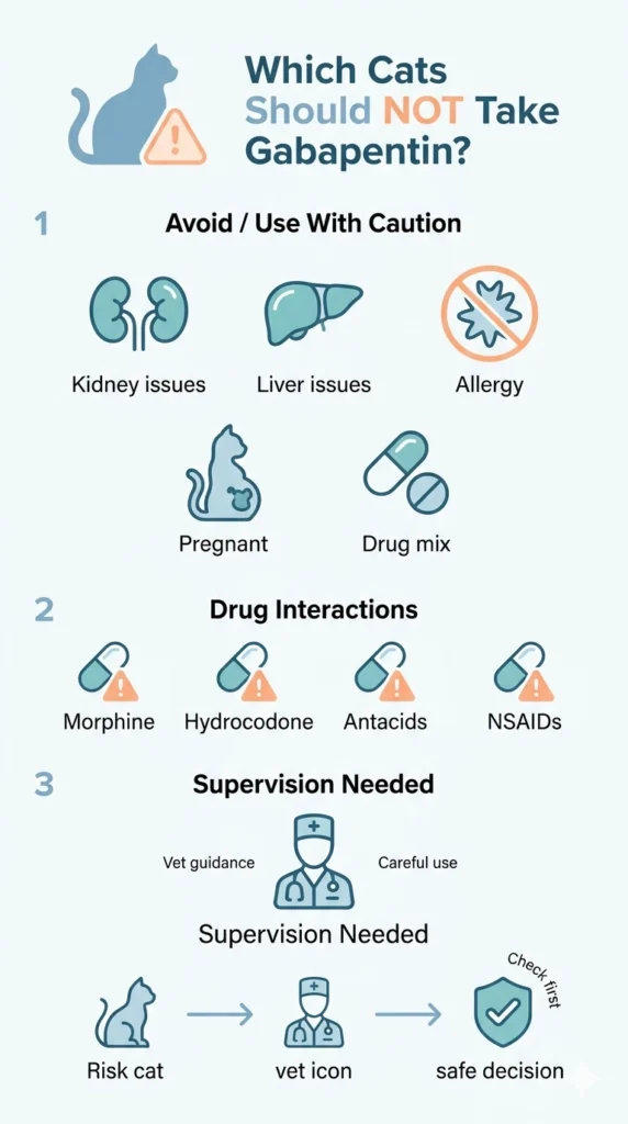 Which Cats Should Not Take Gabapentin?