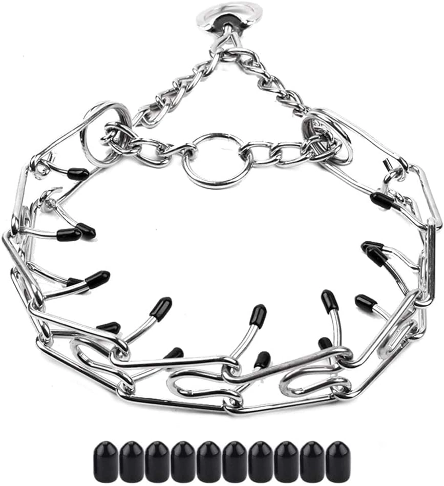 Prong Collar for Dogs