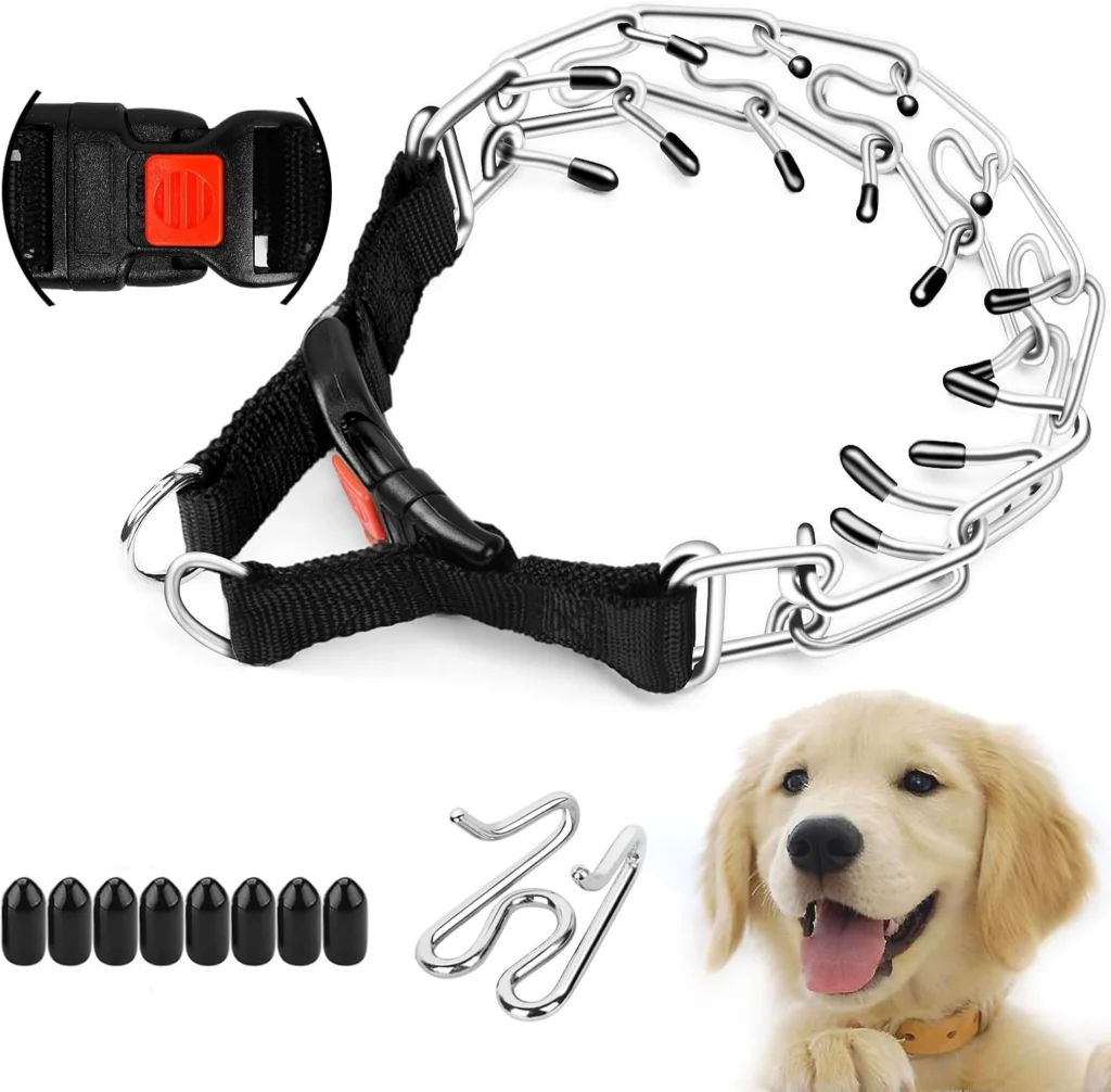 Dog Prong Collar