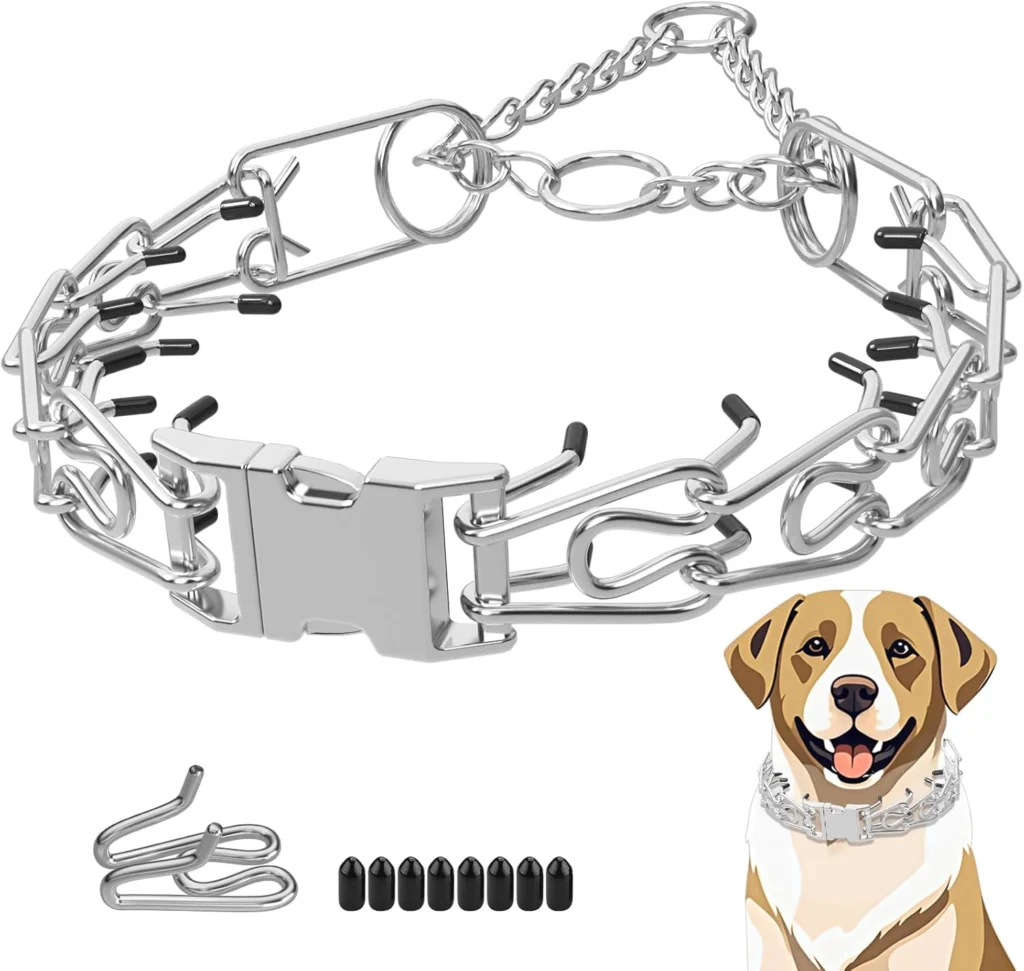 Dog Prong Collar