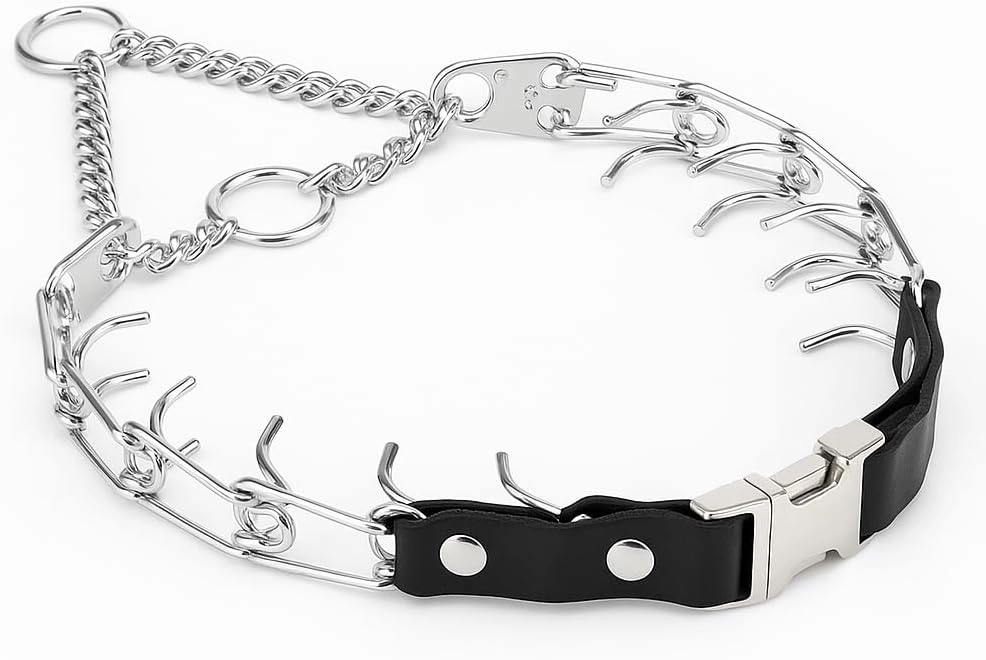 Dog Prong Collars
