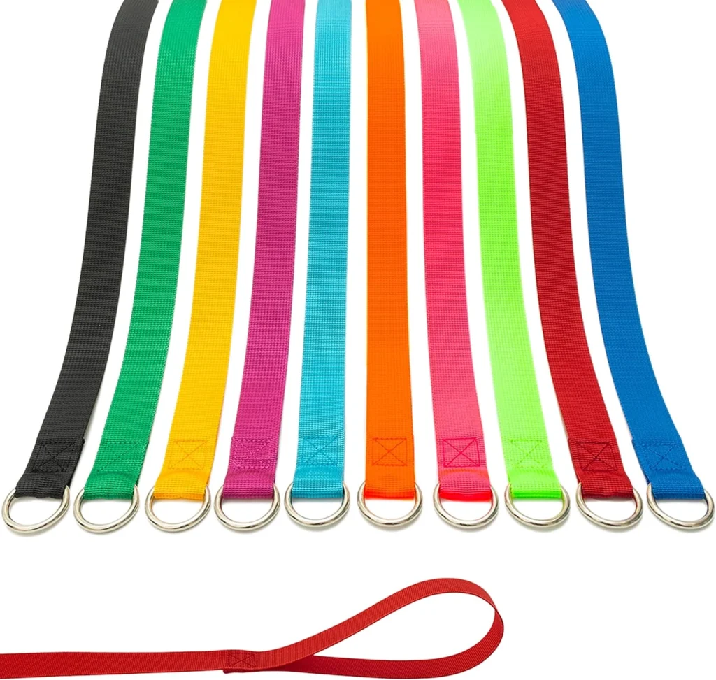 Slip Lead for Dogs