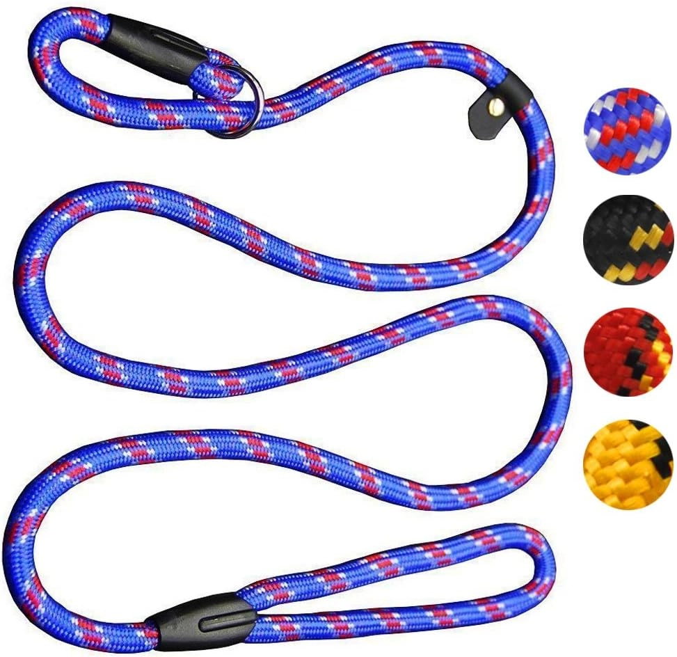 Slip Leads for Dogs