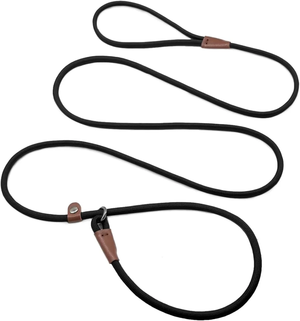 Slip Leads for Dogs