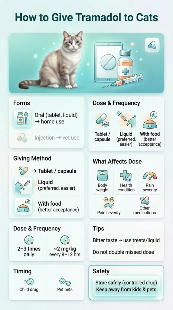 How to Give Tramadol to Cats