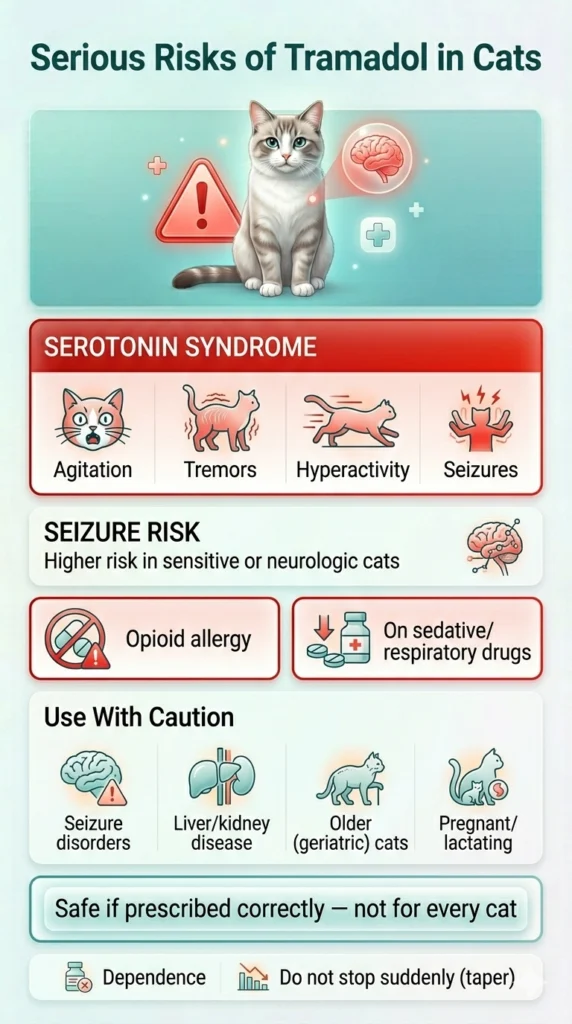 Most serious risks of tramadol for cats