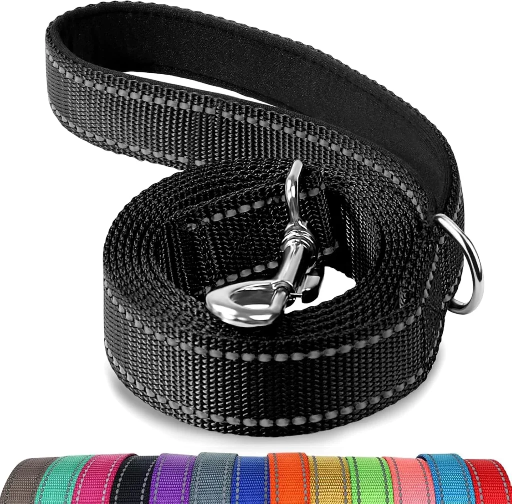Best Dog Leashes