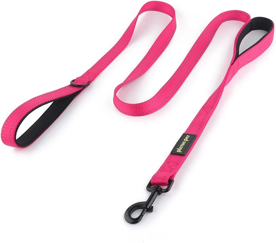 Best Dog Leash
