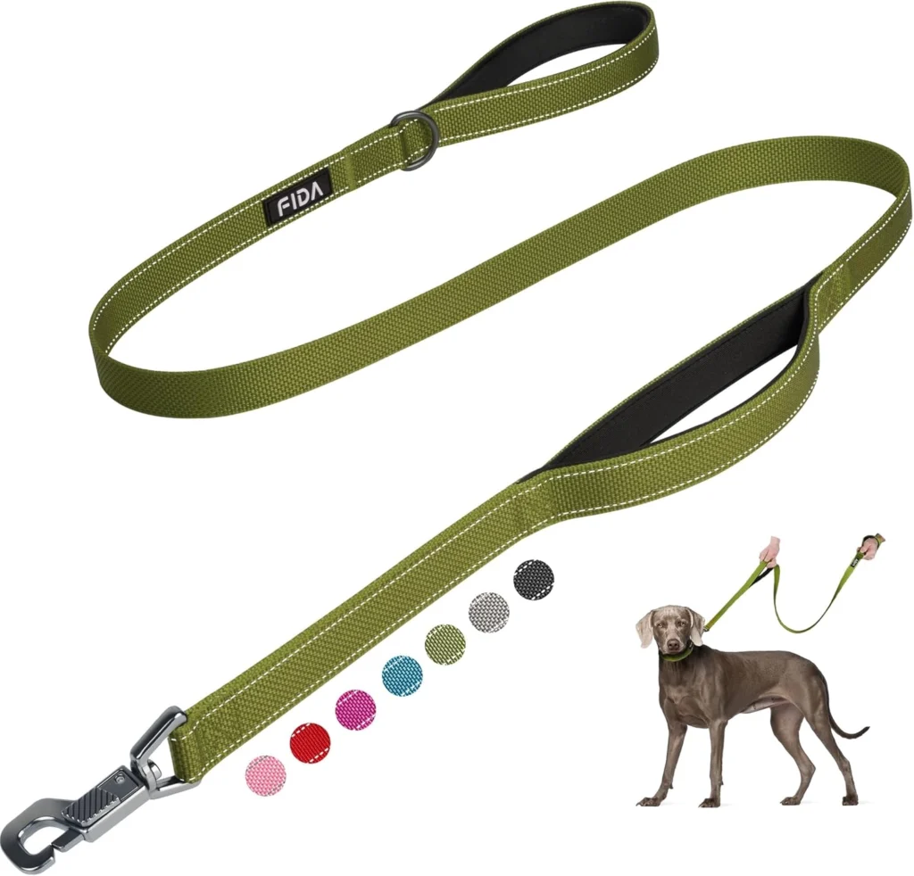 Dog Leash for Training