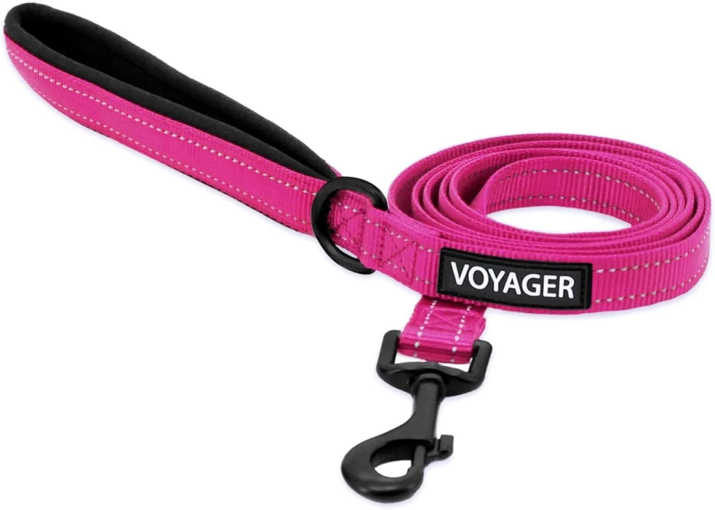Best Dog Leashes for Training
