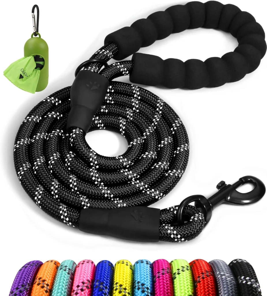 Best Dog Leashes for Training