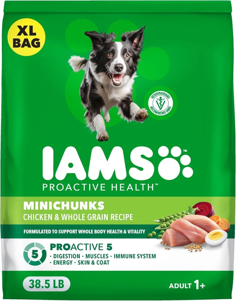 Senior Dry Dog Foods for Joint Health