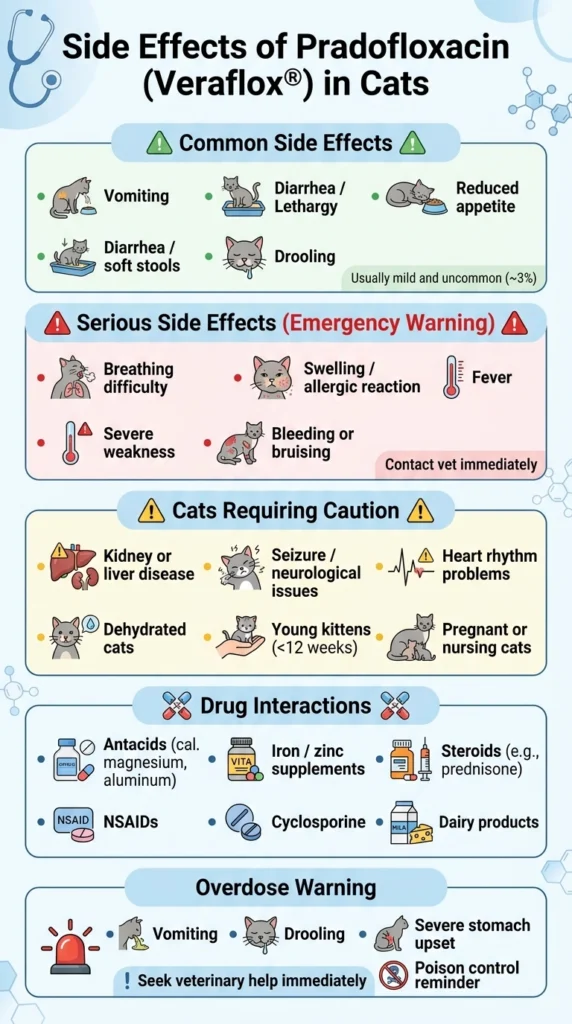 Side Effects of Pradofloxacin for Cats