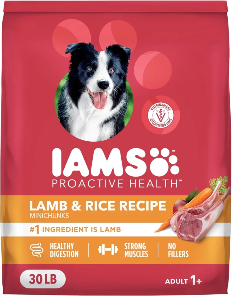 Best Senior Dry Dog Foods for Joint Health and Mobility